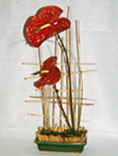 Zenon - Cód. 20008 - 30,00€