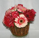 Atos - Cód. 20012 - 35,00€