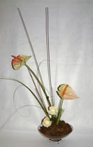 Satélite - Cód. 20013 - 30,00€