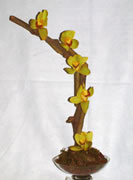 Serpente - Cód. 20014 - 75,00€