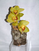 Jane - Cód. 20018 - 55,00€