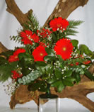 Xenia - Cód. 20020 - 75,00€